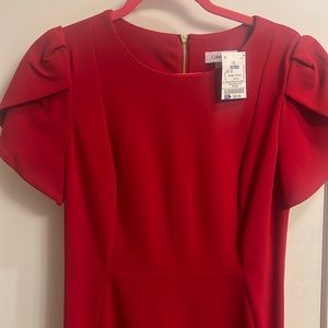 Calvin Klein beautiful color size 12